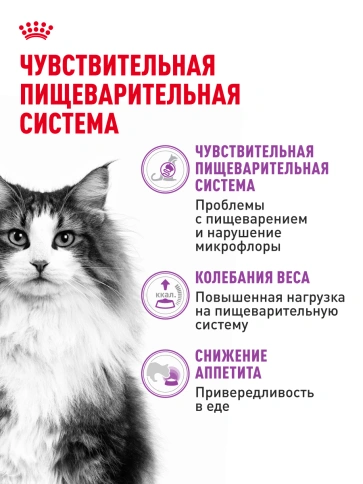 Сухой корм Royal Canin Sensible для кошек, 1.2 кг фото 18