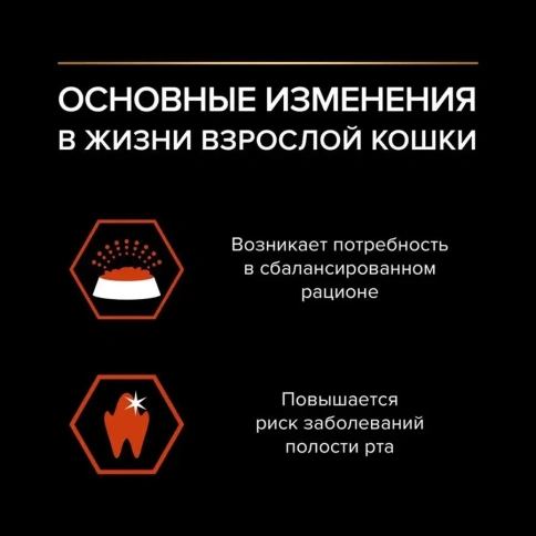 Сухой корм PRO PLAN Salmon для взрослых кошек, с высоким содержанием лосося, 10 кг фото 4