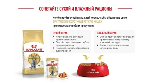 Сухой корм Royal Canin British Shorthair для кошек породы британская короткошерстная, 10 кг фото 18