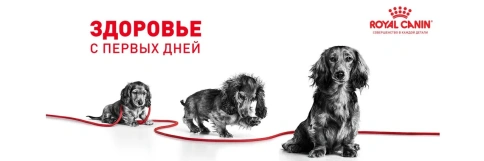 Сухой корм Royal Canin Giant Junior для щенков, 15 кг фото 18
