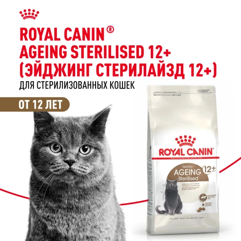 Сухой корм Royal Canin Ageing Sterilised 12+ для стерилизованных кошек старше 12 лет, 4 кг фото 12