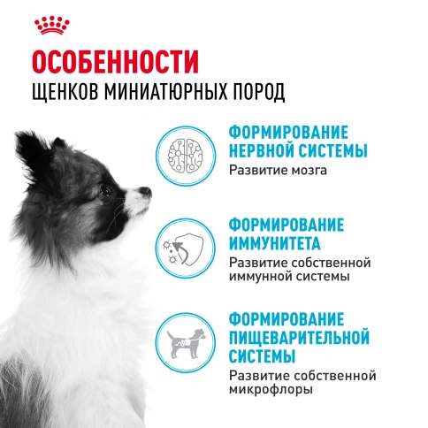 Сухой корм Royal Canin X-Small Puppy для щенков, 500 г фото 2