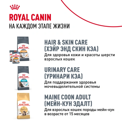 Сухой корм Royal Canin Kitten Maine Coon для котят, 400 г фото 10