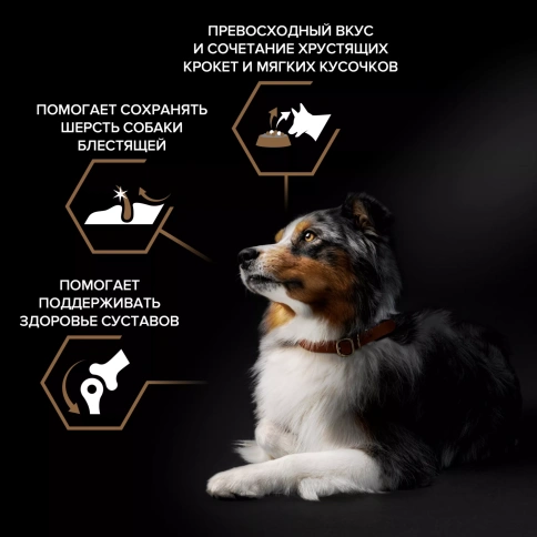 Сухой корм PRO PLAN DUO DELICE Beef для взрослых собак средних и крупных пород, с высоким содержанием говядины, 2,5 кг фото 2