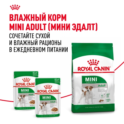 Сухой корм Royal Canin Mini Adult для взрослых собак, 800 фото 8