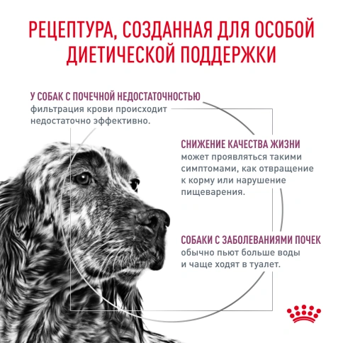 Сухой корм Royal Canin Renal для кошек при заболеваниях почек, 14 кг фото 2