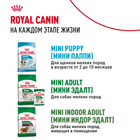 Сухой корм Royal Canin Mini Starter Mother & Babydog для щенков и кормящих сук, 8.5 кг фото 9
