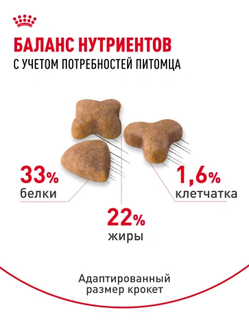 Сухой корм Royal Canin Sensible для кошек, 2 кг фото 19