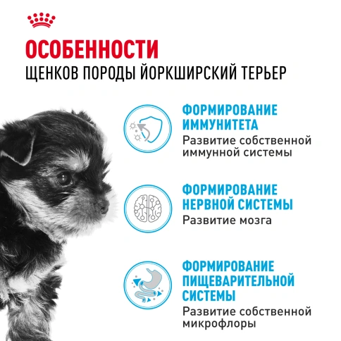 Сухой корм Royal Canin Yorkshire Terrier Puppy для щенков, 1.5 кг фото 2