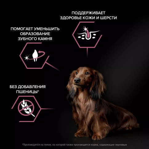 Сухой корм PRO PLAN Salmon для взрослых собак мелких и карликовых пород с чувствительной кожей, с высоким содержанием лосося, 3 кг фото 2
