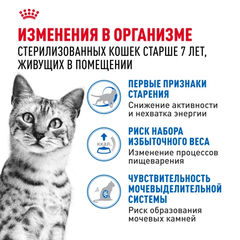 Влажный корм Royal Canin Indoor 7+ в желе для кошек старше 7 лет, живущих в помещении, пауч, 85 г фото 2
