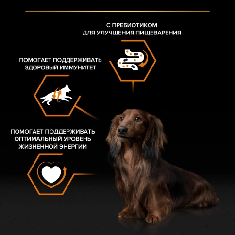 Влажный корм PRO PLAN Beef для взрослых собак мелких и карликовых пород, с говядиной в соусе, 85 г фото 2