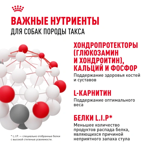 Сухой корм Royal Canin Dachshund Adult для собак породы такса, 1.5 кг фото 5