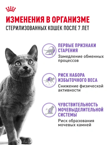 Сухой корм Royal Canin Sterilised 7+ для стерилизованных кошек и кастрированных котов, 3.5 кг фото 15