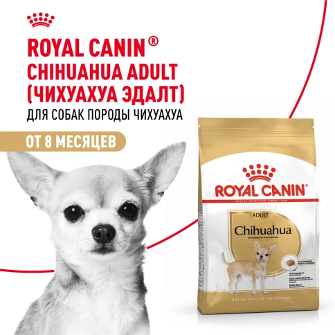 Сухой корм Royal Canin Chihuahua Adult для собак породы чихуахуа, 1.5 кг фото 15