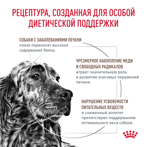 Сухой корм Royal Canin Hepatic для собак, 1.5 кг фото 3