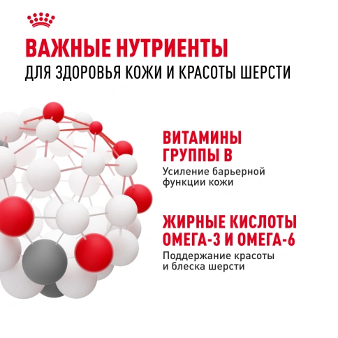 Сухой корм Royal Canin Medium Dermacomfort для собак, 3 кг фото 5