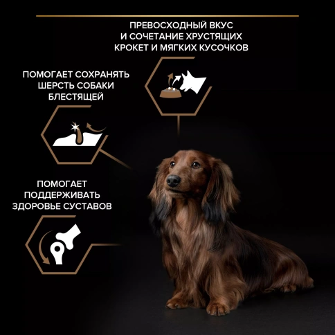 Сухой корм PRO PLAN DUO DELICE Beef для взрослых собак мелких и карликовых пород, с высоким содержанием говядины, 2,5 кг фото 2