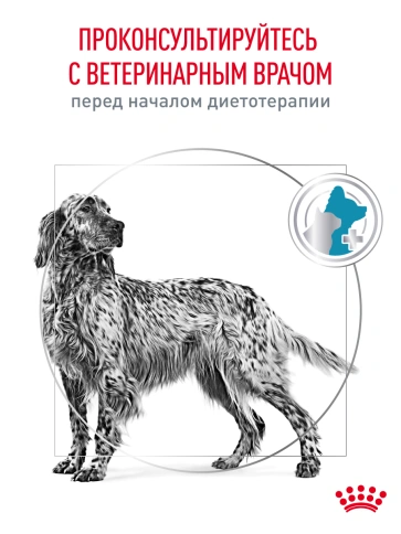 Сухой корм Royal Canin Hypoallergenic для собак, 1.5 кг фото 21