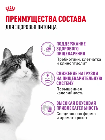 Сухой корм Royal Canin Sensible для кошек, 15 кг фото 17
