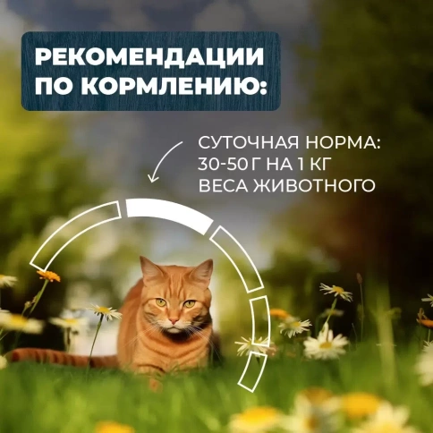 Влажный корм Родные корма Beef для кошек, говядина с языком по-крестьянски, 100 г фото 5