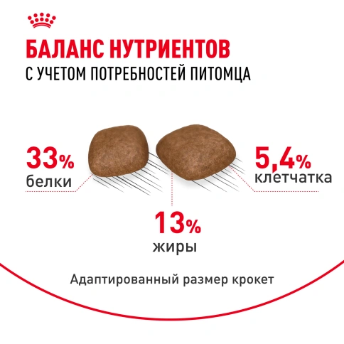 Сухой корм Royal Canin Urinary Care для кошек для профилактика МКБ, 400 г фото 5