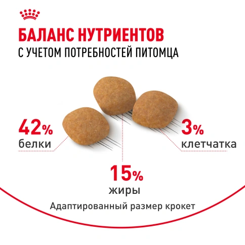 Сухой корм Royal Canin Protein Exigent для кошек, фото 5