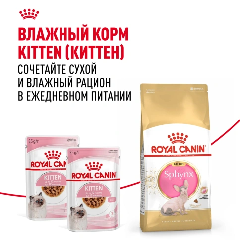 Сухой корм Royal Canin Kitten Sphynx для котят, 2 кг фото 8