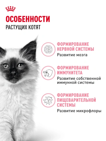 Сухой корм Royal Canin Kitten для котят, 1.2 кг фото 16