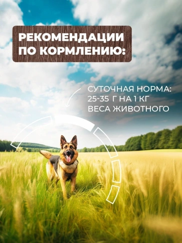 Влажный корм Родные корма Beef & Vegetables для собак, говядина с овощами по-казацки, 970 г фото 5