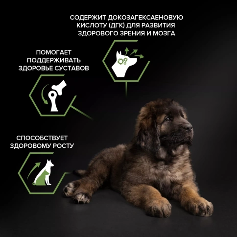 Сухой корм PRO PLAN Chicken для щенков крупных пород с мощным телосложением, с высоким содержанием курицы, 12 кг фото 2