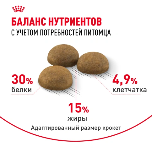 Сухой корм Royal Canin Indoor Long Hair для кошек, 2 кг фото 4