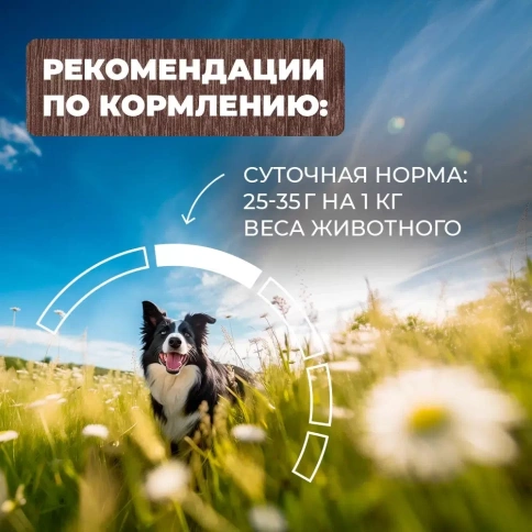 Влажный корм Родные корма Chicken для собак, курочка по-елецки, 970 г фото 5