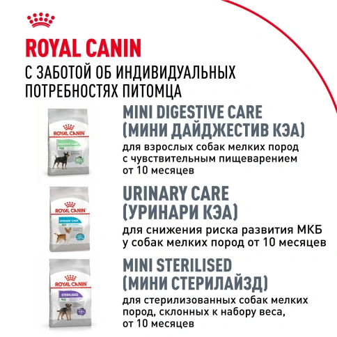 Сухой корм Royal Canin Chihuahua Adult для собак породы чихуахуа, 1.5 кг фото 8