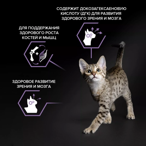 Сухой корм PRO PLAN Chicken для котят до года, с высоким содержанием курицы, 400 г фото 2