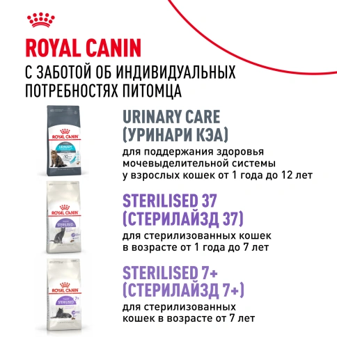 Сухой корм Royal Canin Ageing Sterilised 12+ для стерилизованных кошек старше 12 лет, 4 кг фото 9