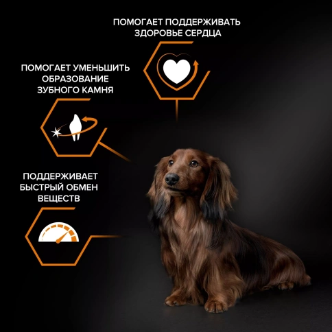 Сухой корм PRO PLAN Chicken для взрослых собак мелких и карликовых пород, с высоким содержанием курицы, 700 г фото 2