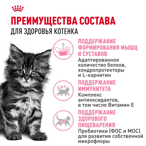 Сухой корм Royal Canin Kitten Maine Coon для котят, 4 кг фото 3