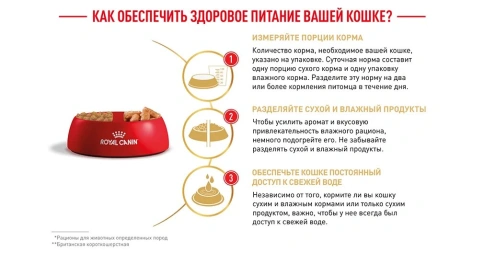 Сухой корм Royal Canin British Shorthair для кошек породы британская короткошерстная, 2 кг фото 14