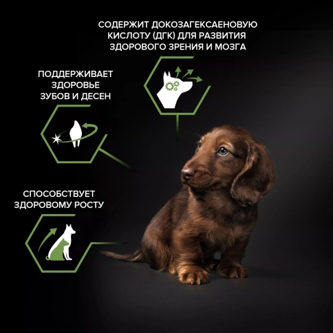 Сухой корм PRO PLAN Chicken для щенков мелких и карликовых пород, с высоким содержанием курицы, 7 кг фото 2