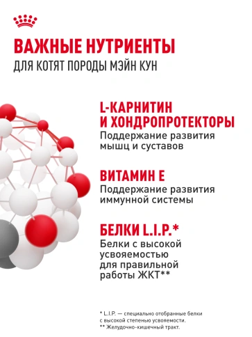 Влажный корм Royal Canin Maine Coon Kitten в соусе для котят породы мейн-кун и других крупных пород старше 3 месяцев, пауч, 85 г фото 21