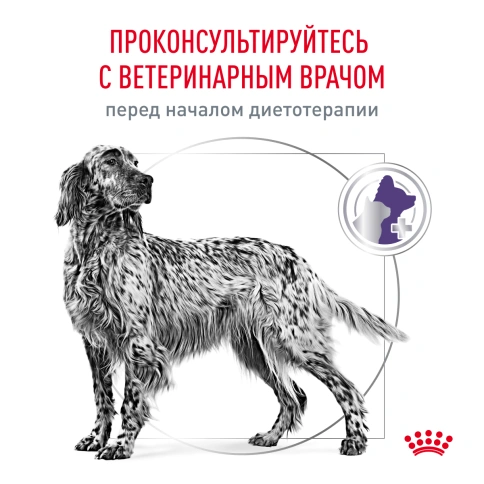 Сухой корм Royal Canin Neutered Adult Medium Dogs для стерилизованных собак средних пород, 3.5 кг фото 5