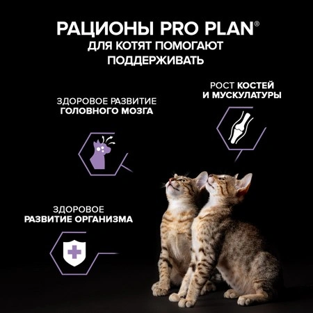 Влажный корм PRO PLAN Turkey для котят и беременных кошек Индейка, паштет, 75 г фото 4