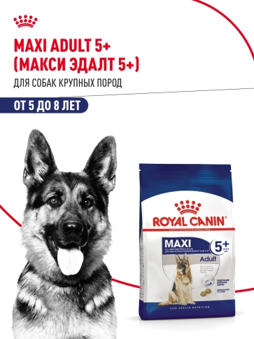 Сухой корм Royal Canin Maxi Adult 5+ для собак, 4 кг фото 13