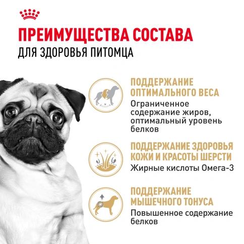 Сухой корм Royal Canin Pug Adult для взрослых собак, 1.5 кг фото 3