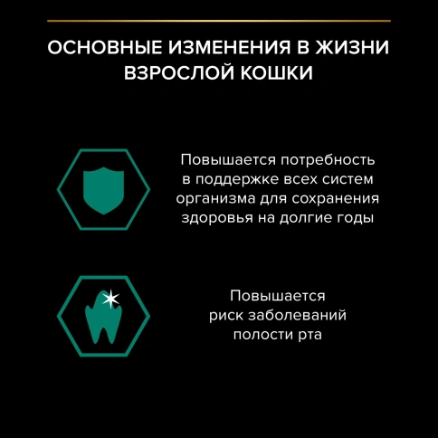 Влажный корм Purina Pro Plan Maintenance для взрослых кошек, с индейкой в желе, 85 г фото 3