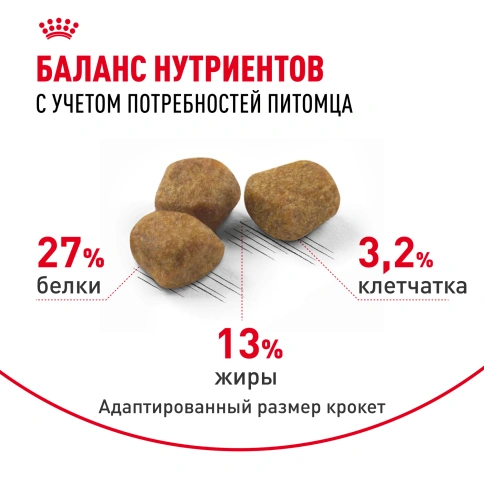 Сухой корм Royal Canin Indoor 7+ для кошек, 400 г фото 7