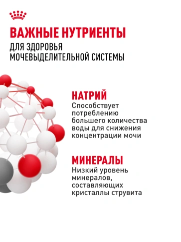 Сухой корм Royal Canin Urinary Care для кошек для профилактика МКБ, 400 г фото 19