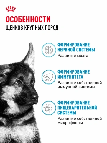 Сухой корм Royal Canin Maxi Puppy для щенков крупных пород, 20 кг фото 2
