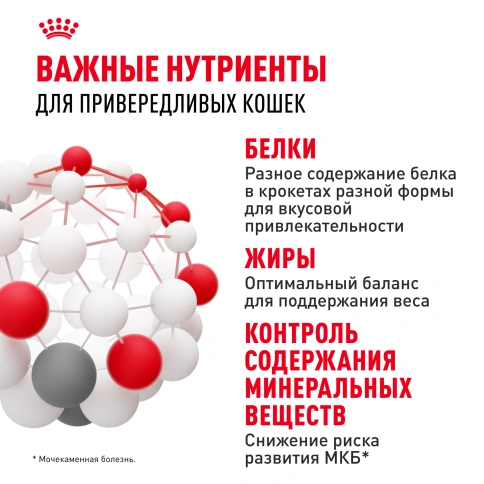 Сухой корм Royal Canin Savour Exigent для кошек, 4 кг фото 5